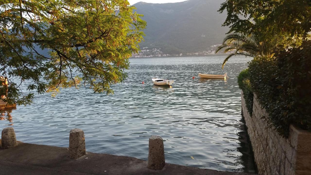 Azure Adriatic Leilighet Kotor Eksteriør bilde